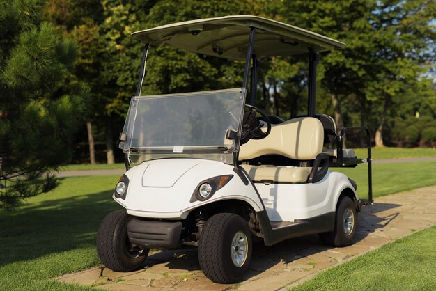 The Importance of Regular Tune-Up Services for Your Golf Cart