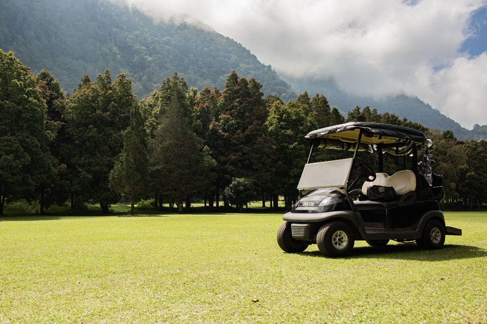 Black Golf Cart parked outside