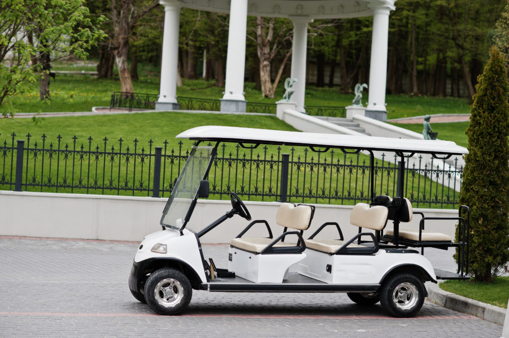 Photo of a tiny golf car standing in the yard.